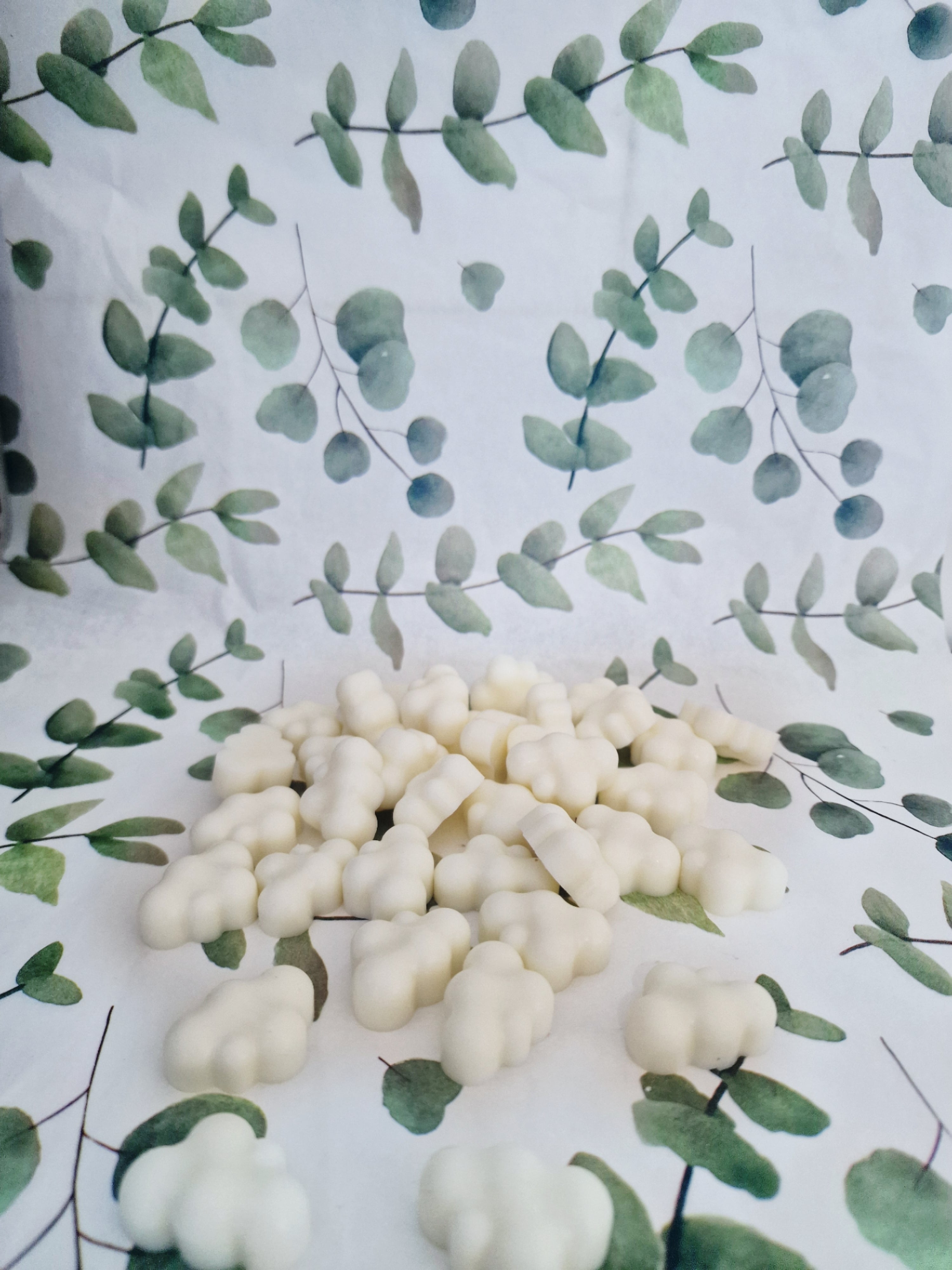 WAX MELTS 50 g